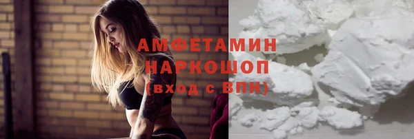 apvp Алзамай