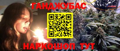 сатива Краснознаменск