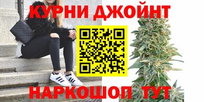 сатива Краснознаменск