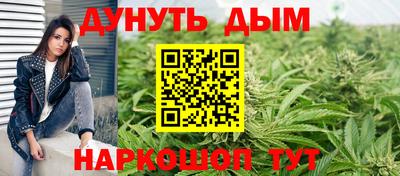 сатива Краснознаменск