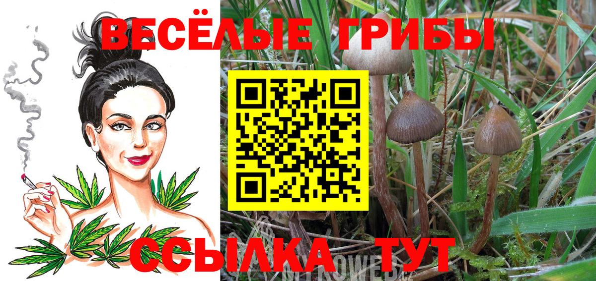 что такое   Галлюциногенные грибы Psilocybe  Вход с VPN  Когалым 